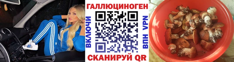 Галлюциногенные грибы Cubensis Химки