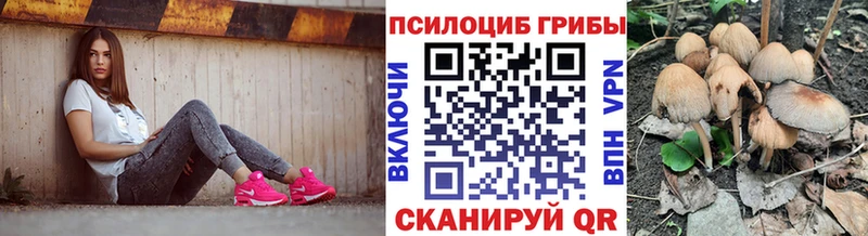 мега зеркало  Химки  Псилоцибиновые грибы Psilocybine cubensis  где купить наркотик 